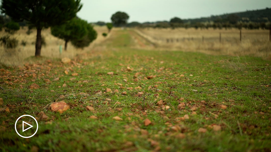 Documental Mujeres Rurales by María Artigas