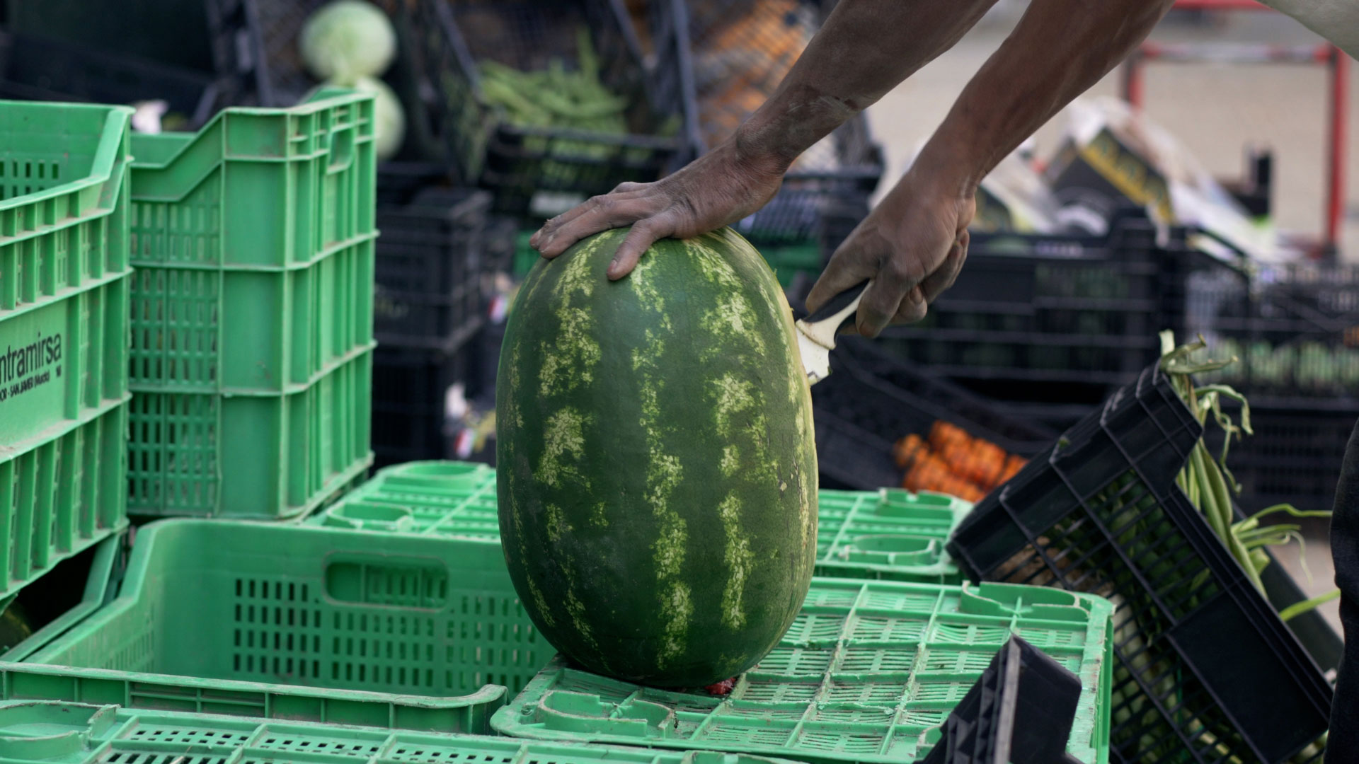 Tráiler Documental Zaguán